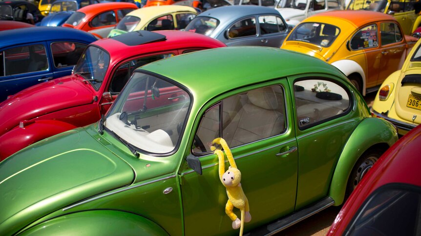 A group of colourful Volkswagen Beetles parked in the sun.