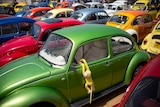 A group of colourful Volkswagen Beetles parked in the sun.
