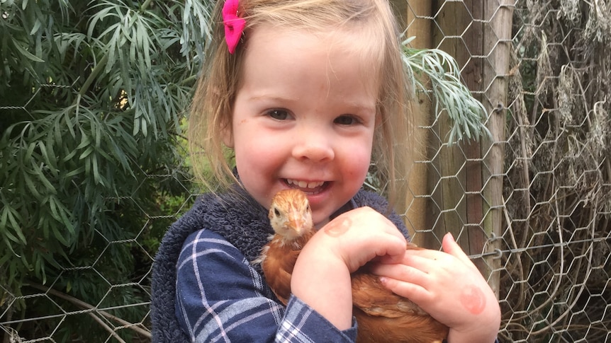 A young girl holds a hen.