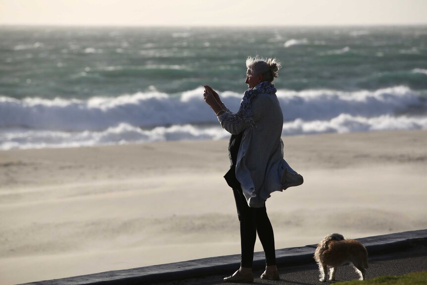 A woman photographs wild swell at City Beach as a storm approaches. Her small dog stands beside her.