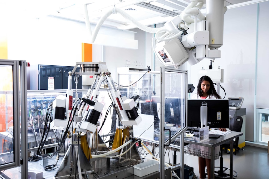 A robot operated by a researcher at Flinders University.