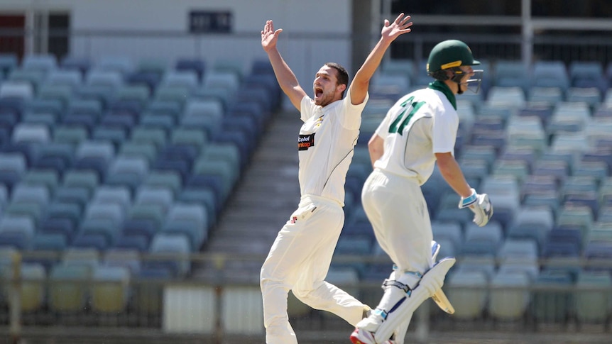 Nathan Coulter-Nile celebrates wicket against Tasmania
