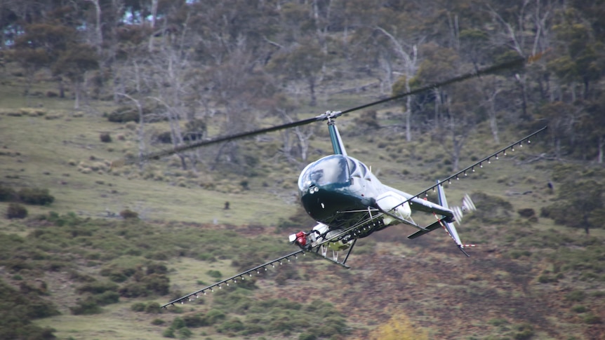 A green helicopter flies low above a hillside covered in shrubs. 
