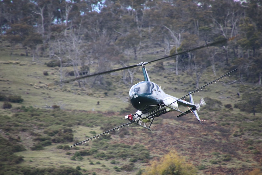 A green helicopter flies low above a hillside covered in shrubs. 