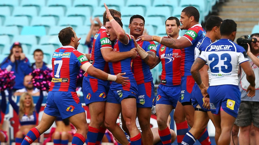 The Knights celebrate a try in the elimination final against the Bulldogs in September 2013.
