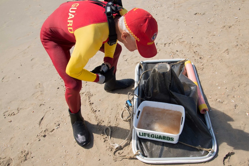 A lifeguard checks the contents of his drag net after pouring it into a shallow bucket.