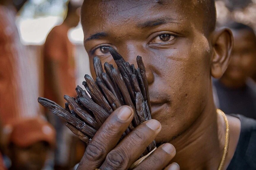 A worker in Madagascar holds vanilla beans up to his nose.
