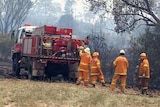 Still fighting: fire crews are looking forward to easier conditions today.
