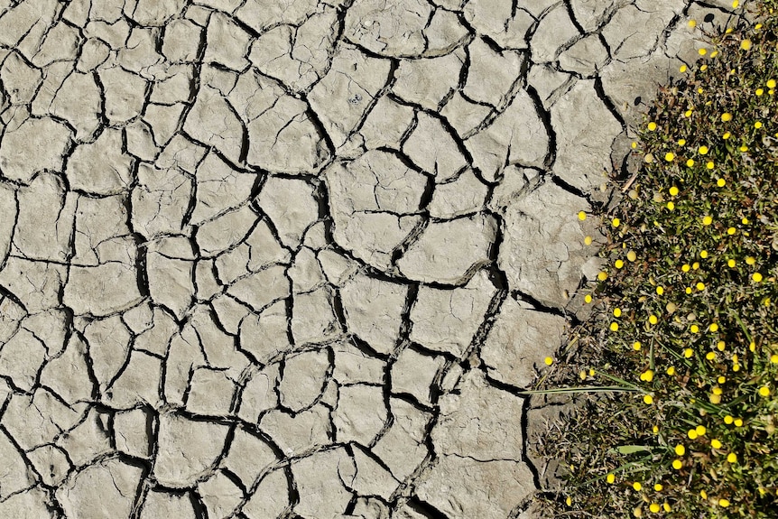Mud cracks along a dried riverbed.