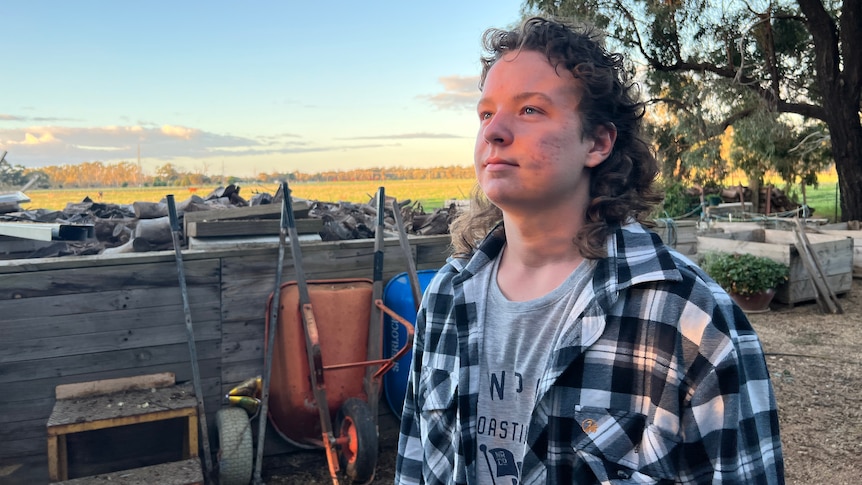 A teenage boy stands in his backyard in front of the sunset. Ausnew Home Care, NDIS registered provider, My Aged Care