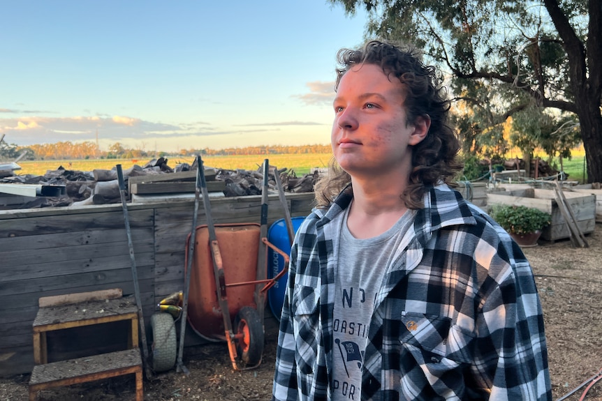 A teenage boy stands in his backyard in front of the sunset.