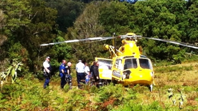 A logging contractor is airlifted to hospital