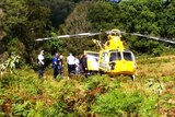 A logging contractor is airlifted to hospita