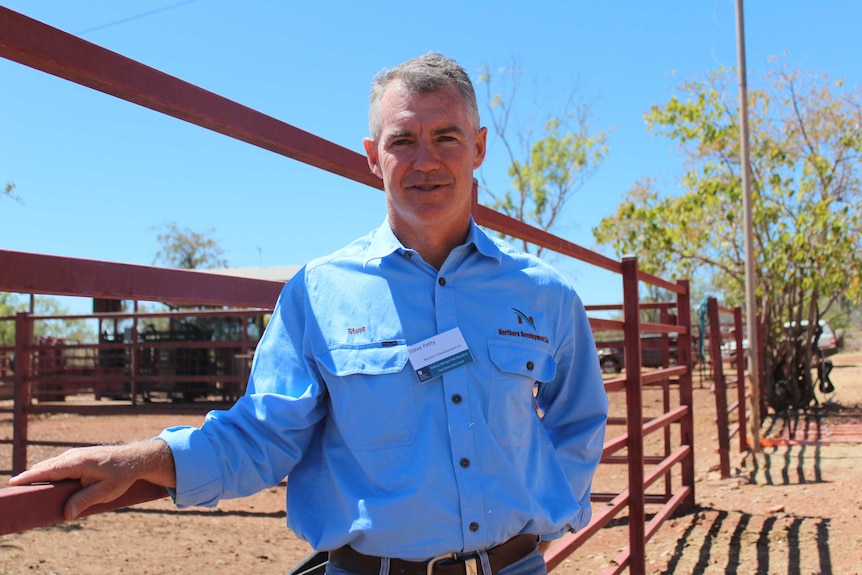 A man, wearing a blue shirt, stands beside a cattle yard