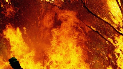 File photo: Bushfire in NSW (Getty Images: Ian Waldie)