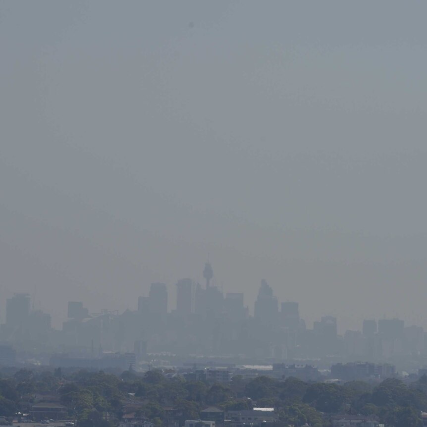 Sydney's CBD is barely visible through air pollution.