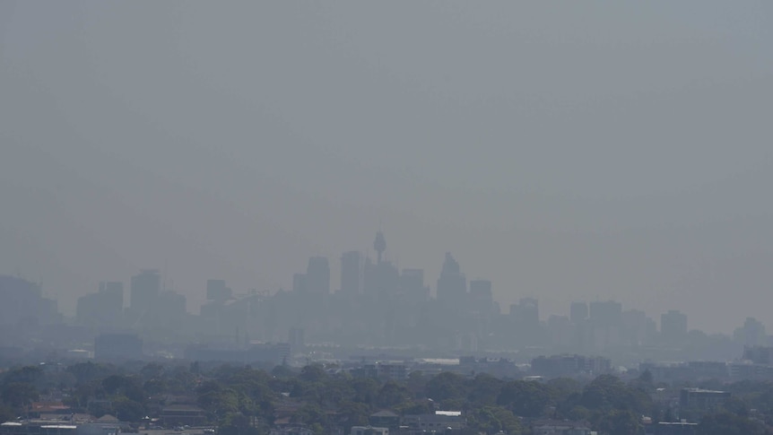 Sydney's CBD is barely visible through air pollution.