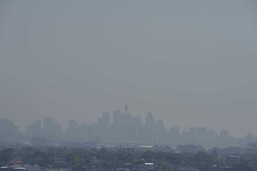 Sydney's CBD is barely visible through air pollution.