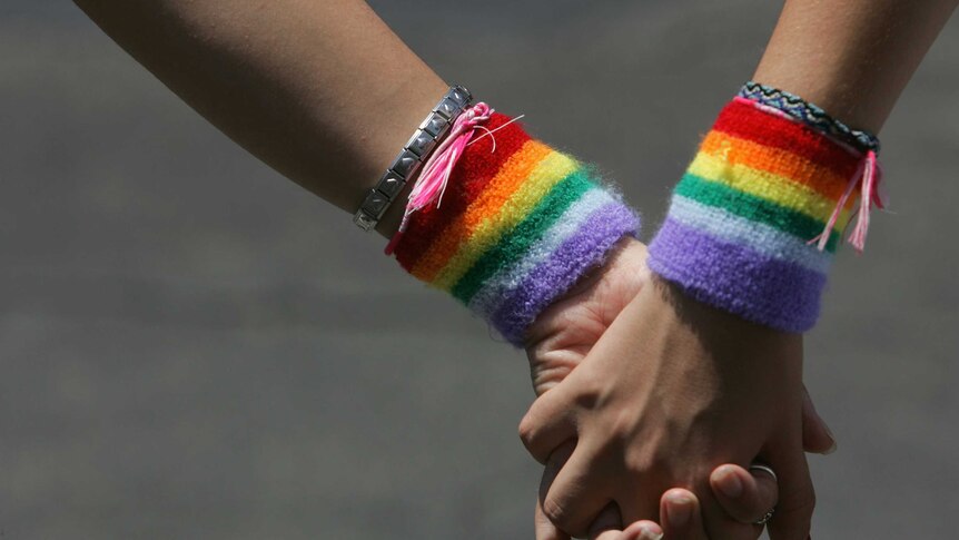 Two lesbians wearing rainbow wristbands hold hands during a gay pride parade.