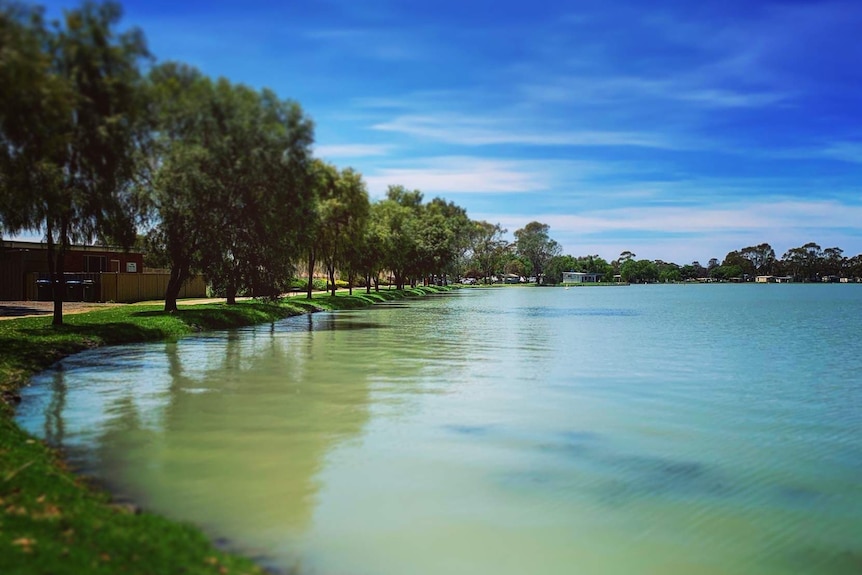 A lake surrounded by greenery.