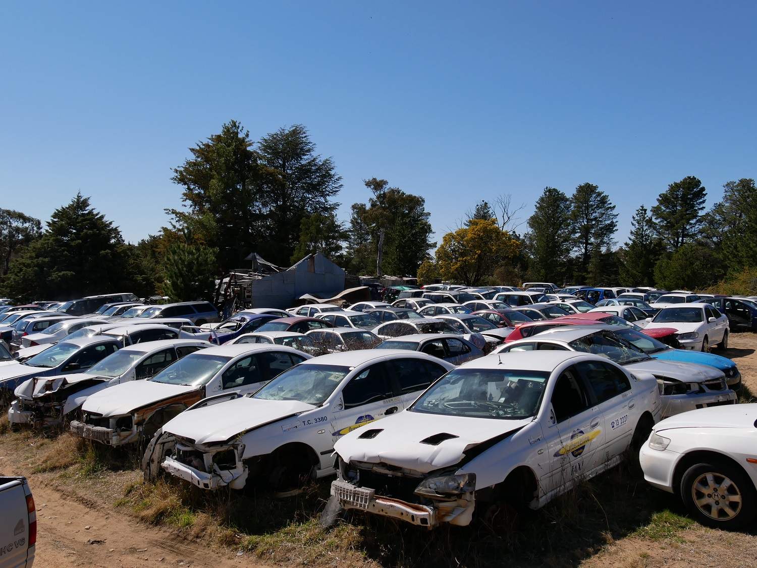 Iconic wrecking yard that supplied Mad Max movie with vintage cars is