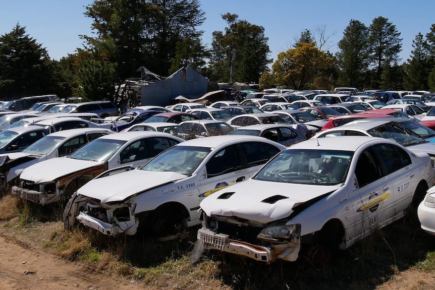 Hundreds of wrecked cars parked in a big lot