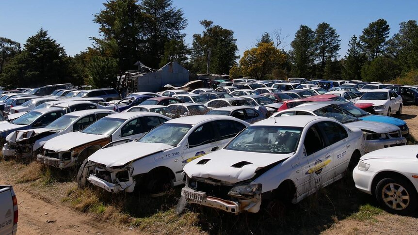 Hundreds of wrecked cars parked in a big lot