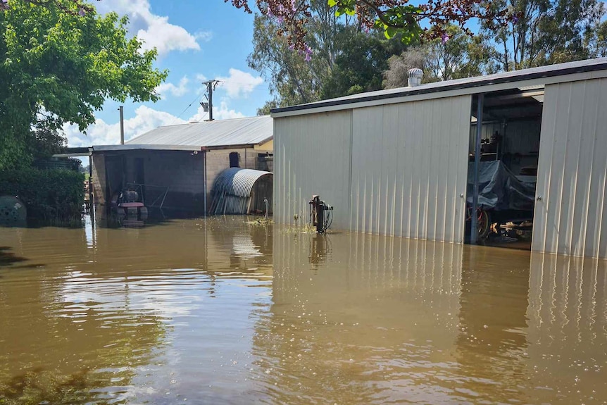 A large steel shed and a weatherboard house are surrounded by brown flood water