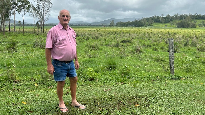 Bill Camm stands in front of a barb wire fence with a green paddock in the background and grey clouds.