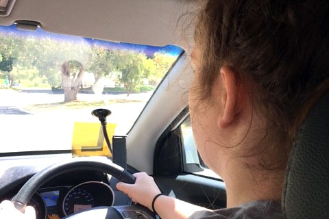 Lucy Haynes behind the wheel of a car with her learners permit in view.