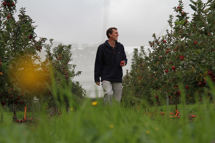 The Department of Agriculture and Food's Steele Jacob.