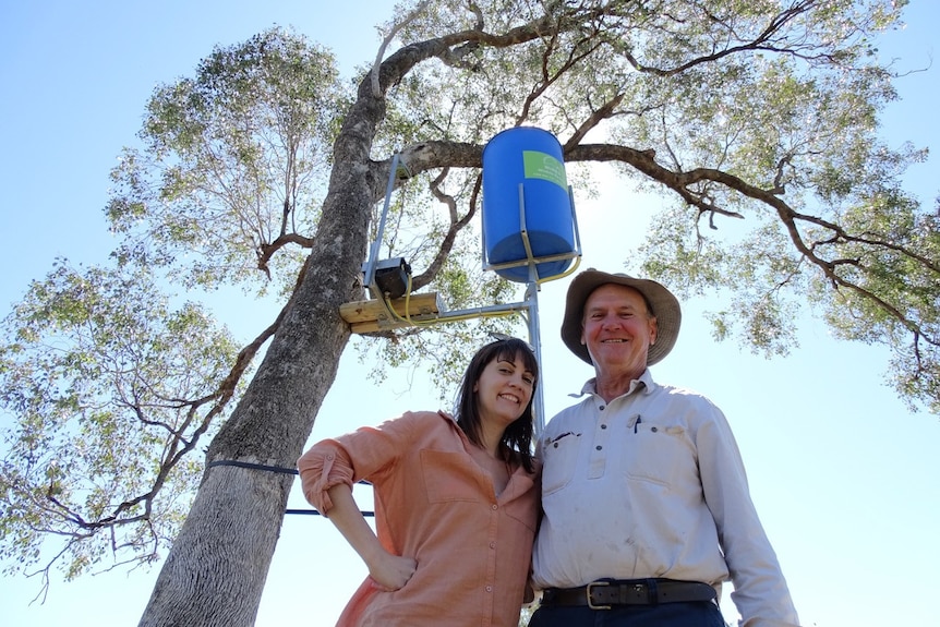 A woman and man standing in front of a tree with a blue bin on a branch.