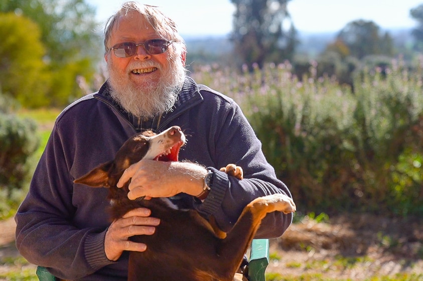 Man with beard and glasses sitting in a chair and playing with a kelpie pup