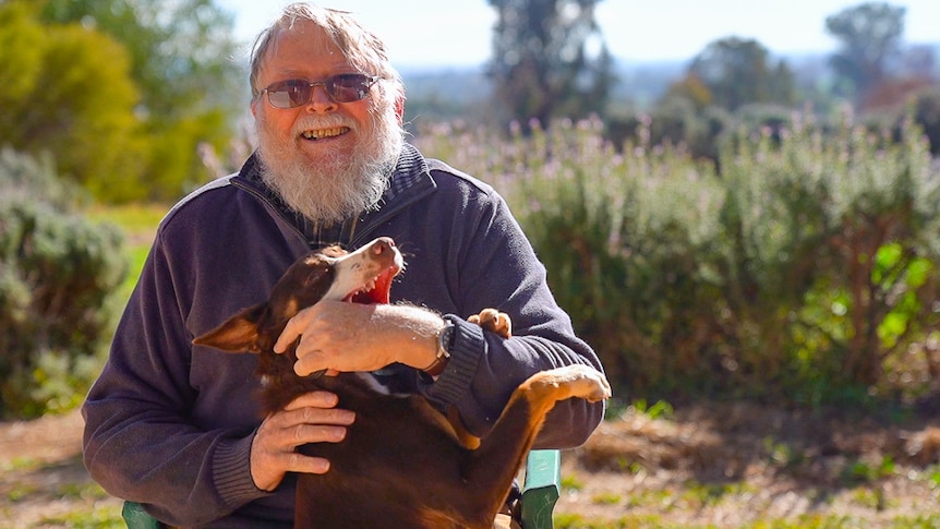 Man with beard and glasses sitting in a chair and playing with a kelpie pup