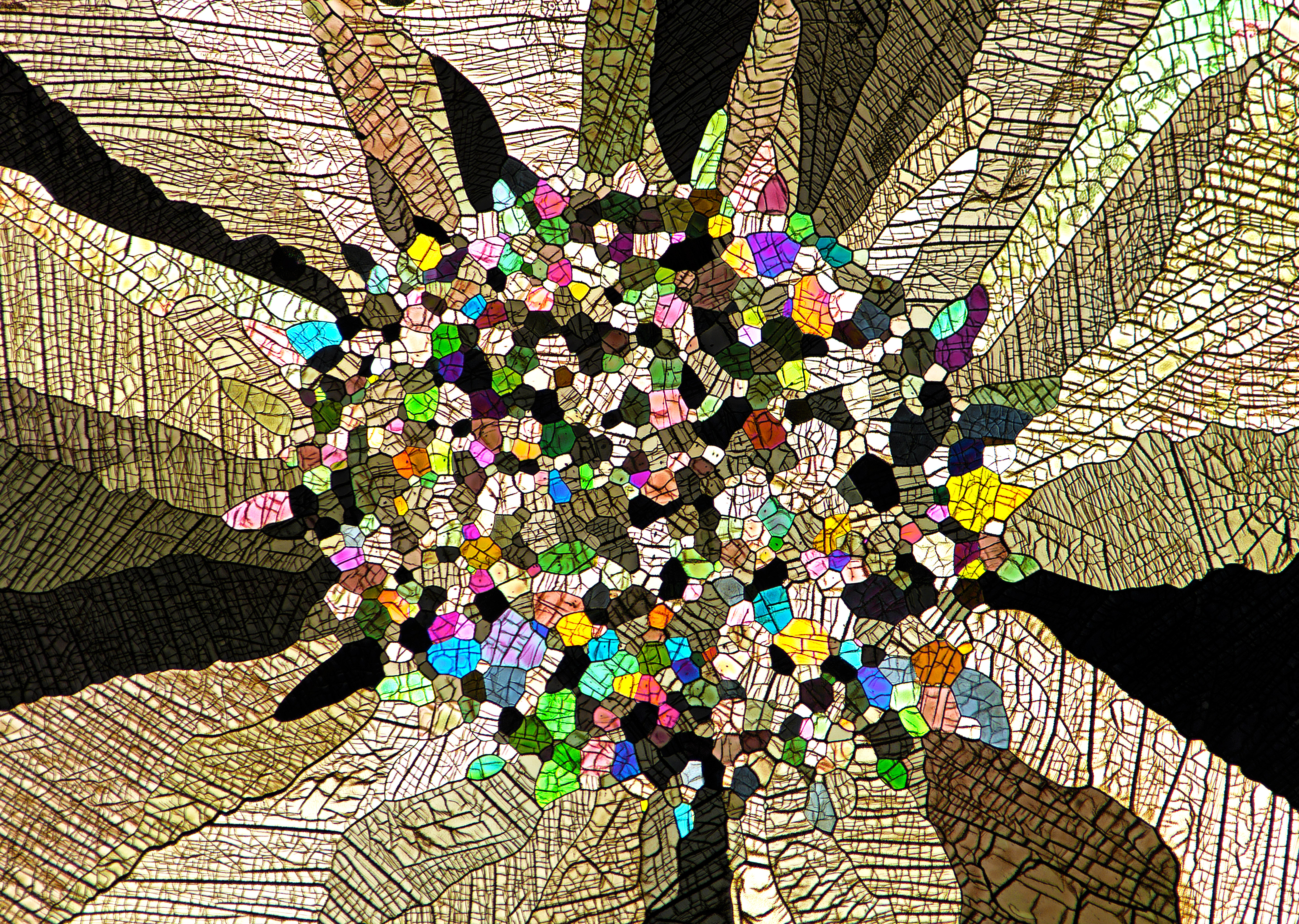 A mosaic-like image of caffeine crystals with a variety of colours