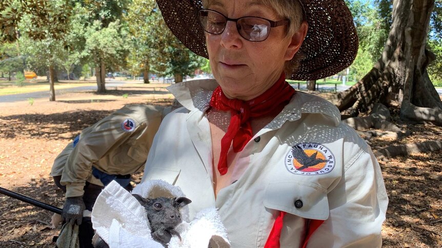 A woman holding a small bat in a towel