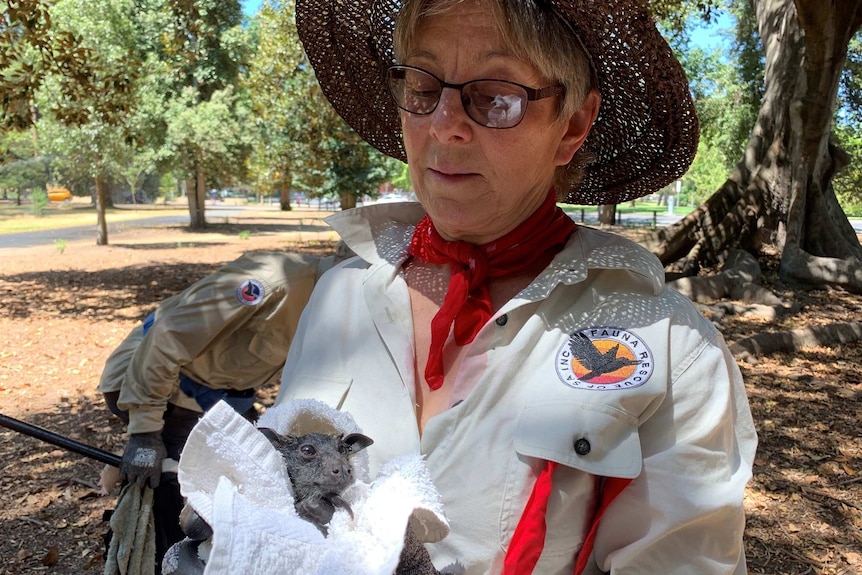 A woman holding a small bat in a towel