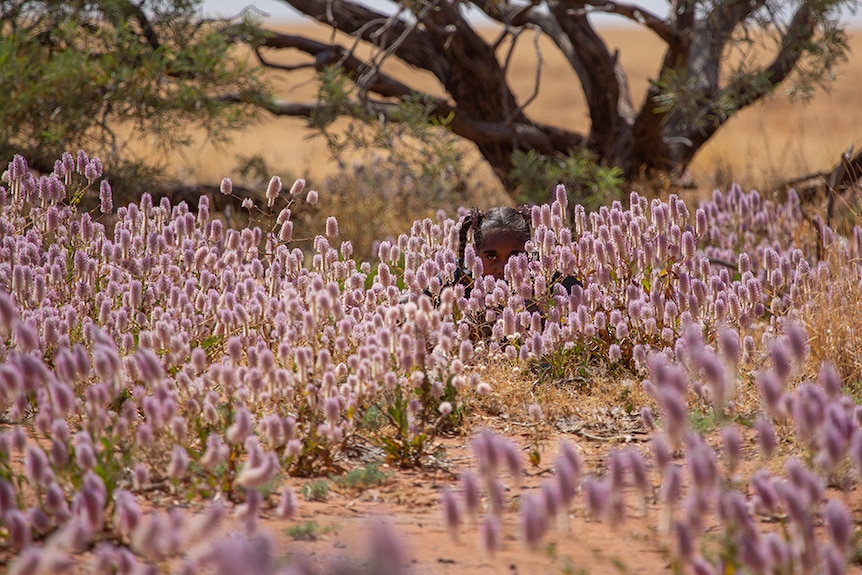 A young girl with braided pigtails hides amongst purple wildflowers in desert landscape, behind her is a large tree.