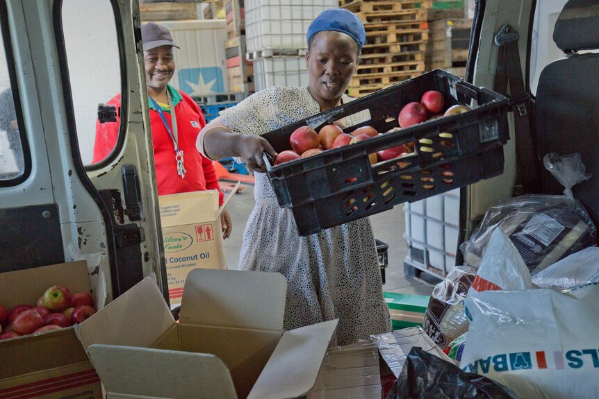 A women loads a crate of apples into a van.