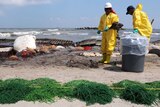 Health, Safety, and Environment (HSE) workers contracted by BP clean up oil