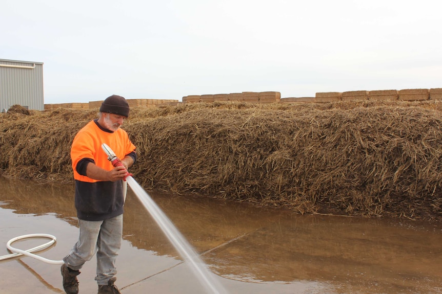 A P&L Rogers employee washes down the concrete around some hay bales.