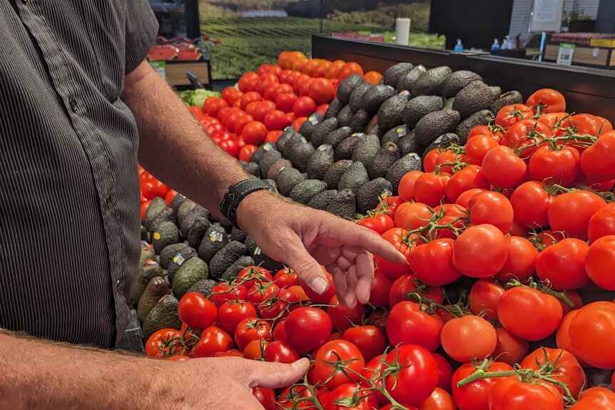 A man wearing a grey shirt points out a shelf of bright red tomatoes