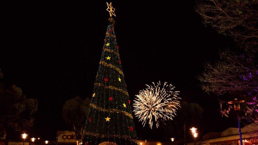 Fireworks beneath a Christmas tree.