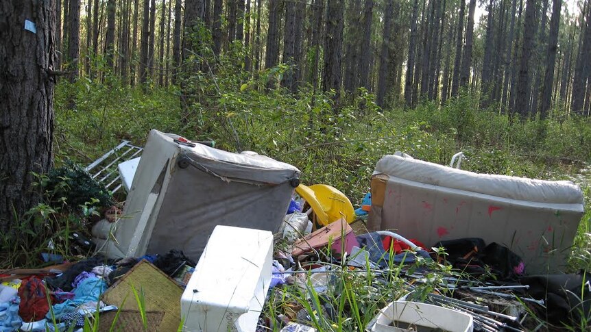 A pile of assorted household rubbish lies in a timber plantation