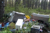 A pile of assorted household rubbish lies in a timber plantation
