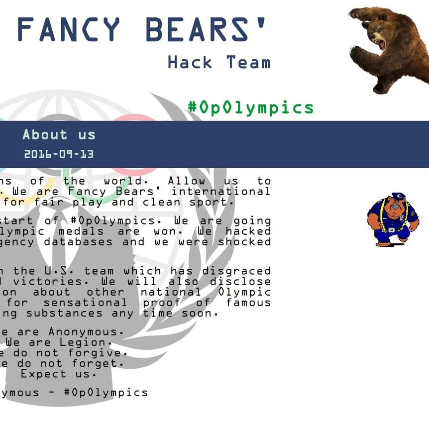 A screenshot of the homepage of the fancybear.net website.