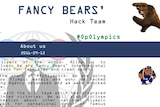 A screenshot of the homepage of the fancybear.net website.