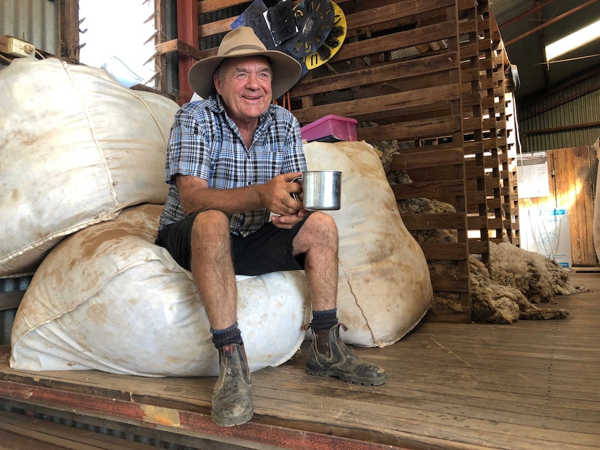 Farmer splurges on new ute after wool price rises