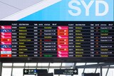 Sydney flight board with airline cancellations listed