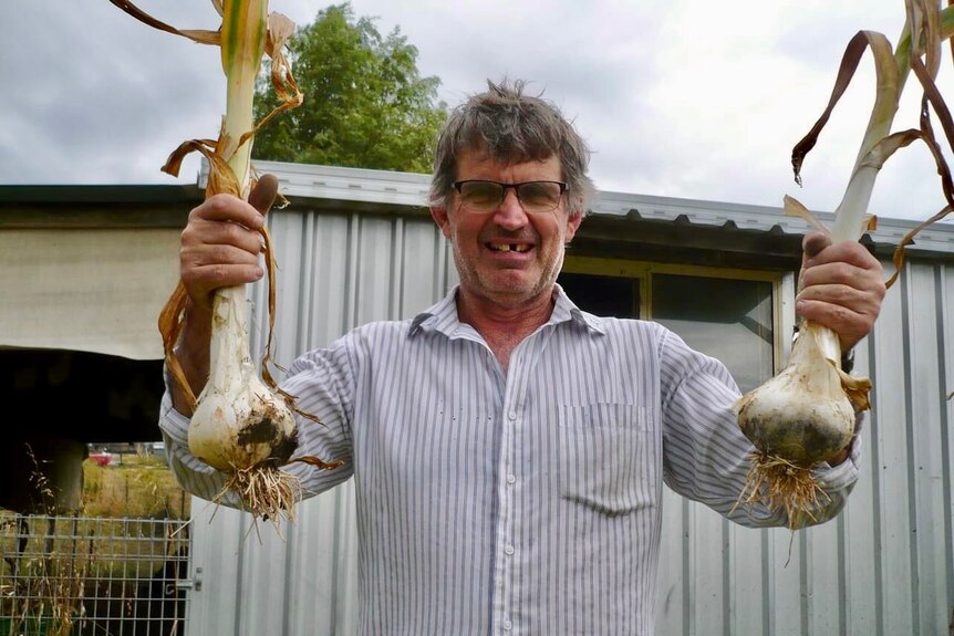 A man smiles as he holds up two huge leek like garlic plants.